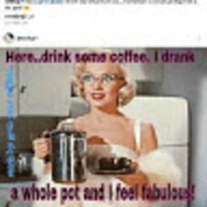 Meet your Posher, Ann